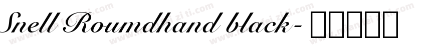 Snell Roumdhand black字体转换